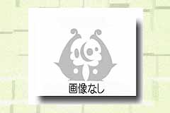 用紙・診断料