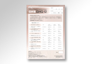 GHQ12検査用紙（100名分）