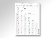タイプA評価用紙 (30部)